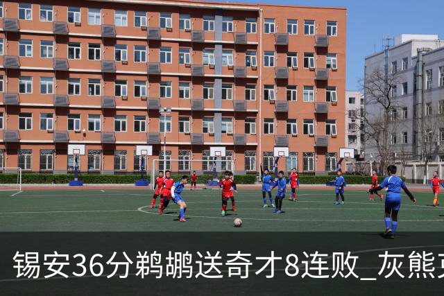 锡安36分鹈鹕送奇才8连败 灰熊克火箭止9连败